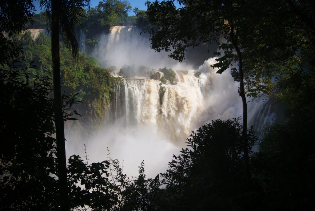 The Amazon, Earth’s Garden