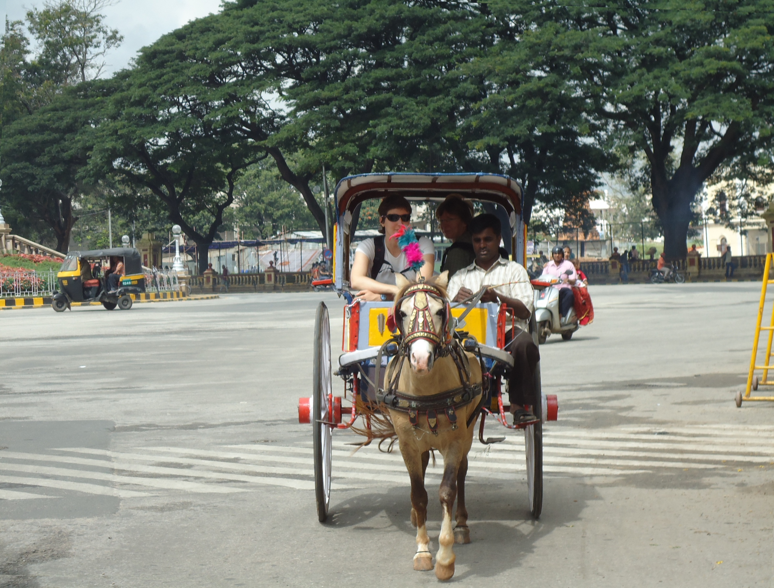 Tourists_in_horse_cart