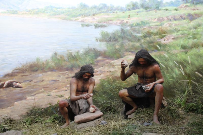Prehistoric Life Hacks: Tools and Fire